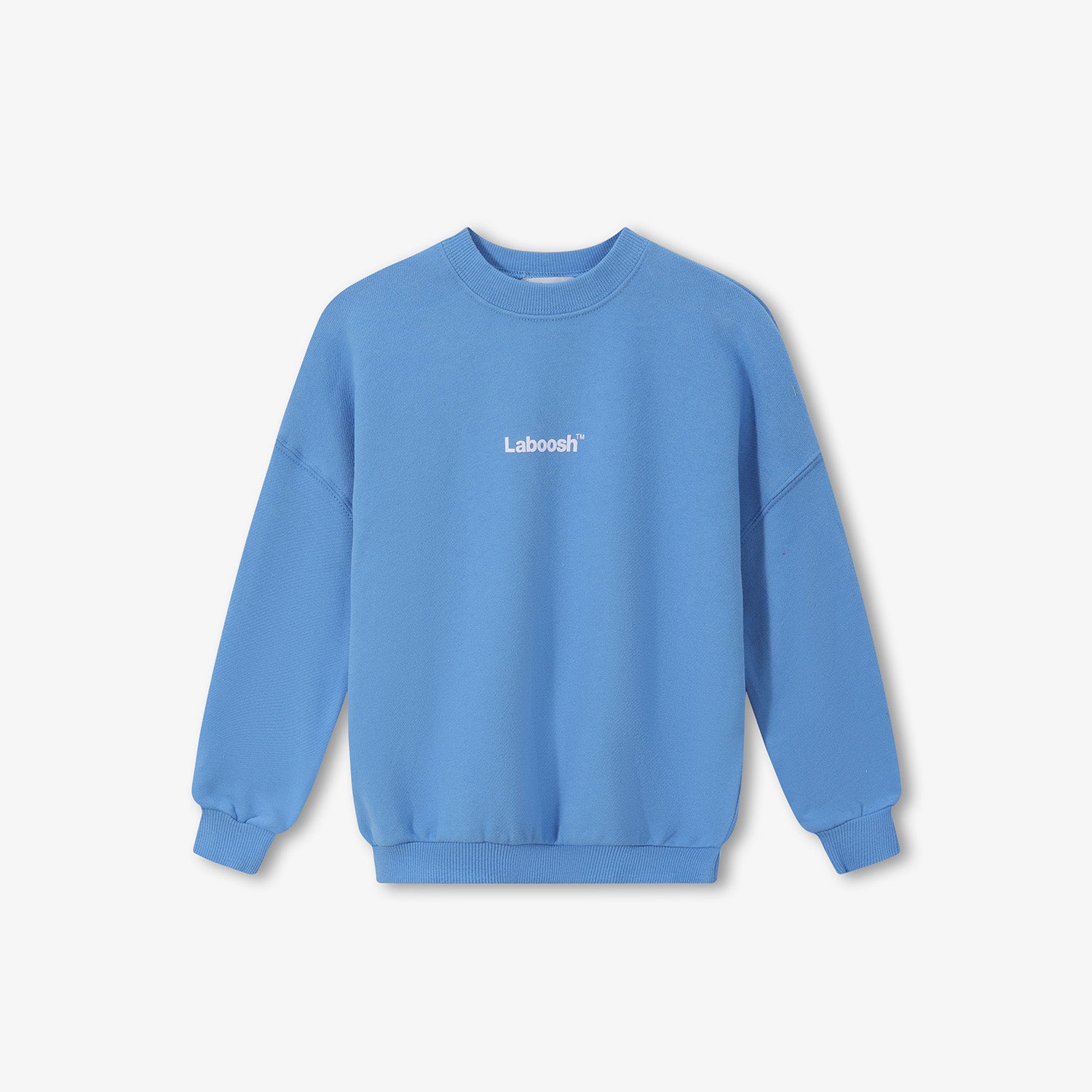 Super Soft Sweatshirt in Light Blue